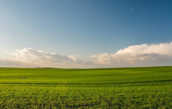 3 Things You Need to Consider Before Purchasing Land